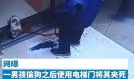 小男孩被爆料视频大全集,揭秘成长瞬间